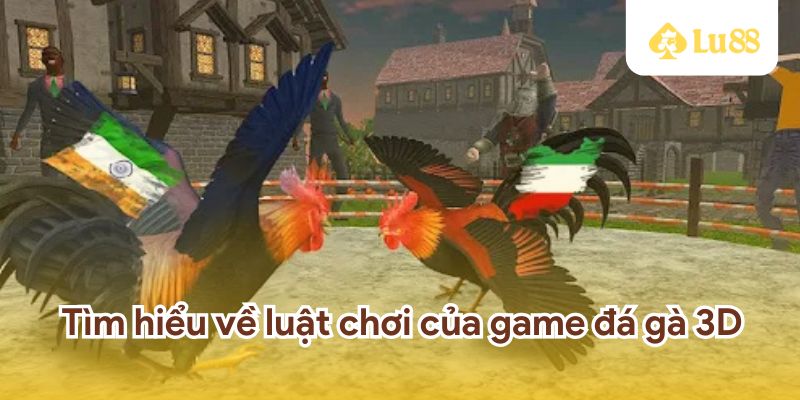 Luật chơi của game đá gà 3D online.