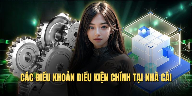 Các điều khoản điều kiện chính tại nhà cái